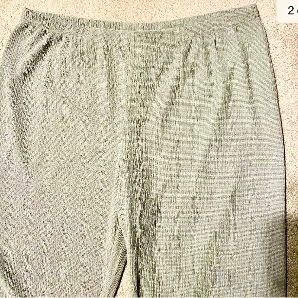 🌴 Chicos NWT Travelers No Tummy Straight Leg Linen type Pants Green Size 2R, 12 - Picture 2 of 4
